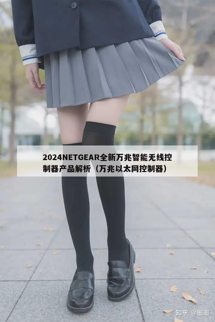 2024NETGEAR全新万兆智能无线控制器产品解析（万兆以太网控制器）