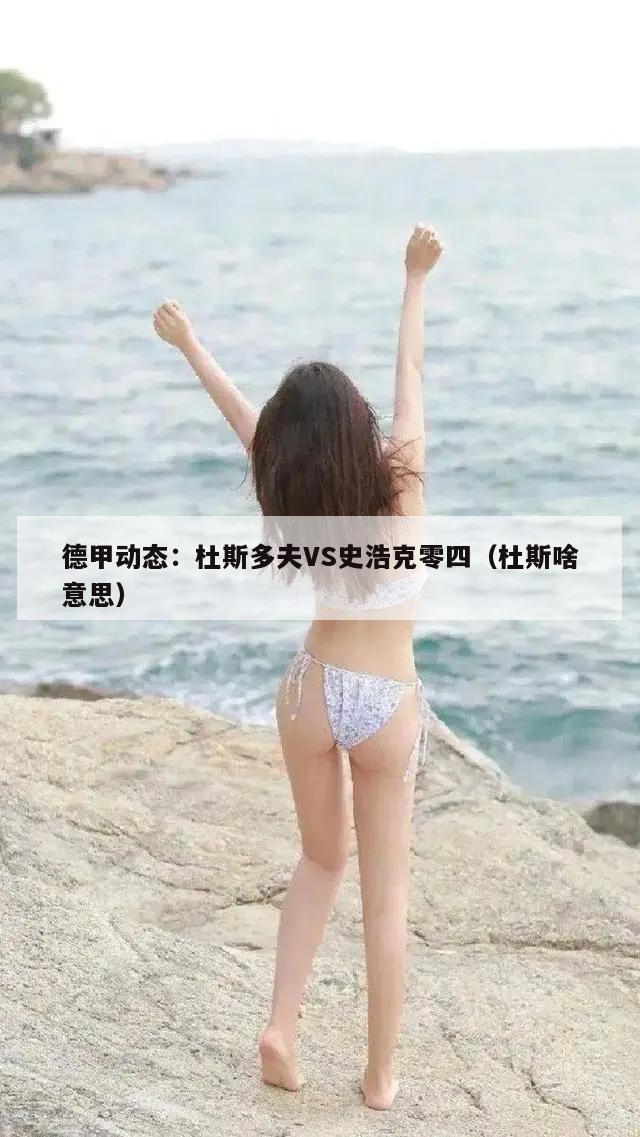 德甲动态：杜斯多夫VS史浩克零四（杜斯啥意思）