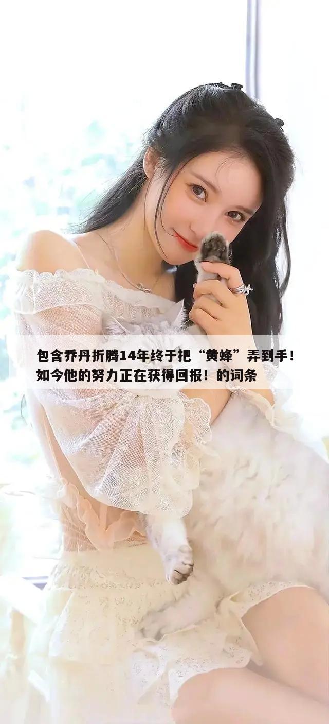 包含乔丹折腾14年终于把“黄蜂”弄到手！如今他的努力正在获得回报！的词条