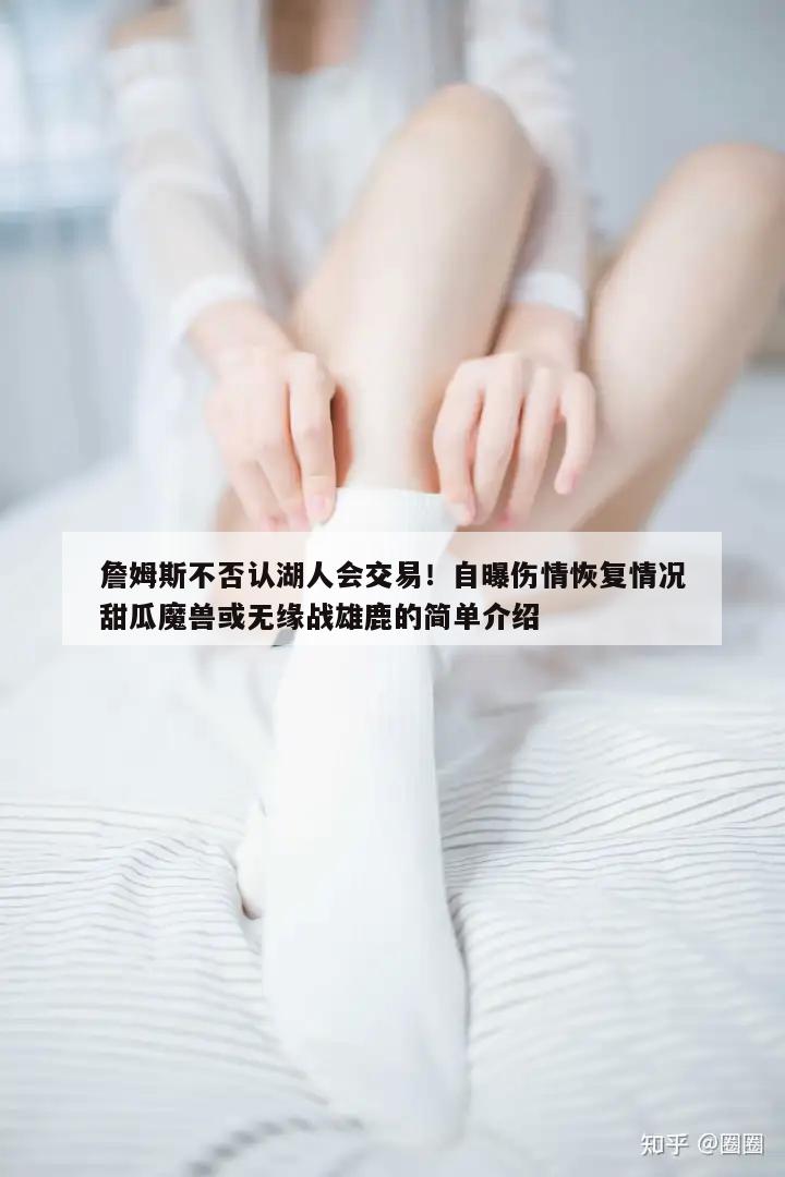 詹姆斯不否认湖人会交易！自曝伤情恢复情况甜瓜魔兽或无缘战雄鹿的简单介绍